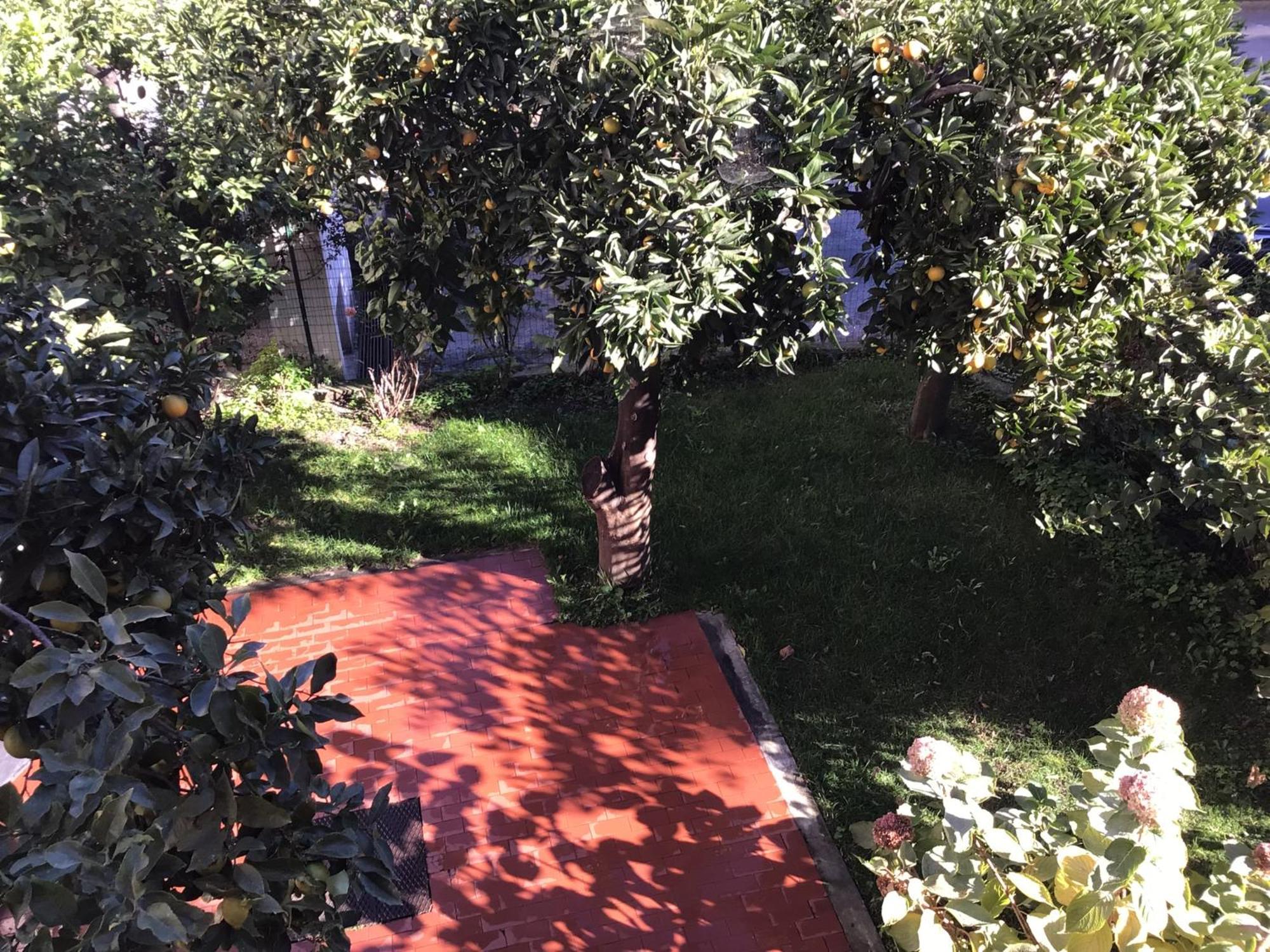 Casa Luigia Rooms Mtb In Finalborgo Bike Room Tour Ebike Trekking Finale Ligure Exterior photo